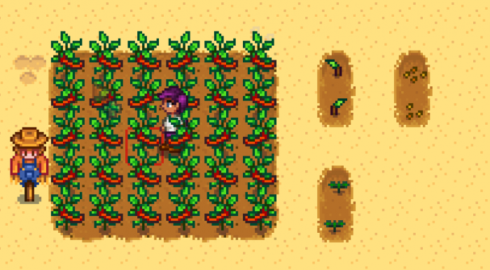 星露谷物语夏季种子怎么获得2