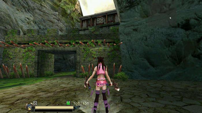 流星蝴蝶剑什么大招伤害高2