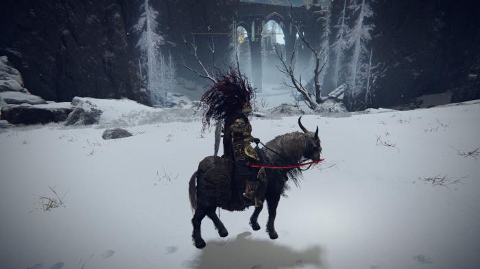 艾尔登法环新手玩什么职业1