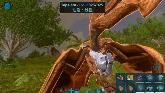 方舟生存进化古神翼龙在哪里抓1