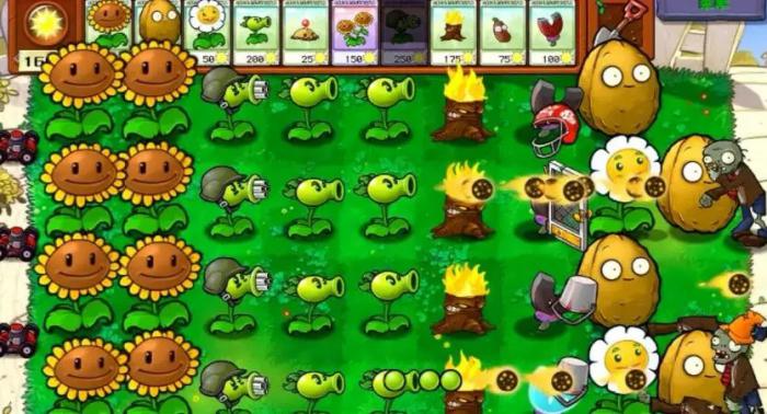 阳光怎么过植物大战僵尸3