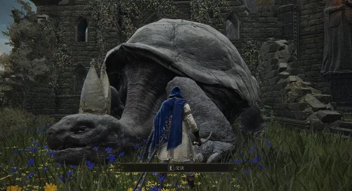 艾尔登法环乌龟老师给多少魂2