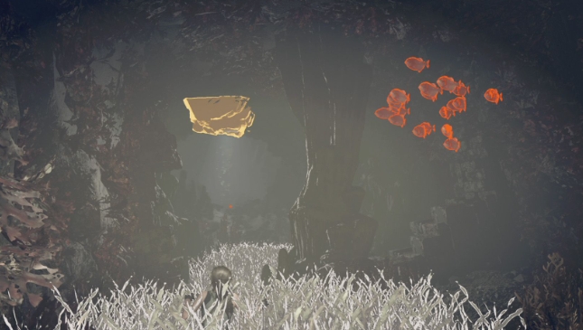 古墓丽影食人鱼古墓怎么过1