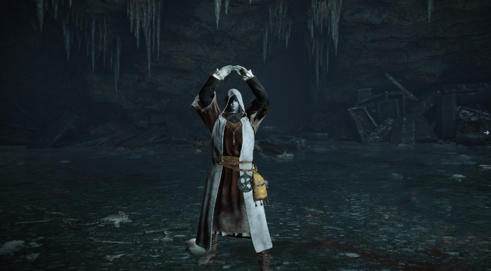 艾尔登法环观星者怎么加点3