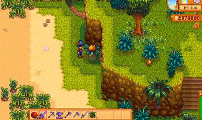 星露谷物语怎么看金核桃总数2