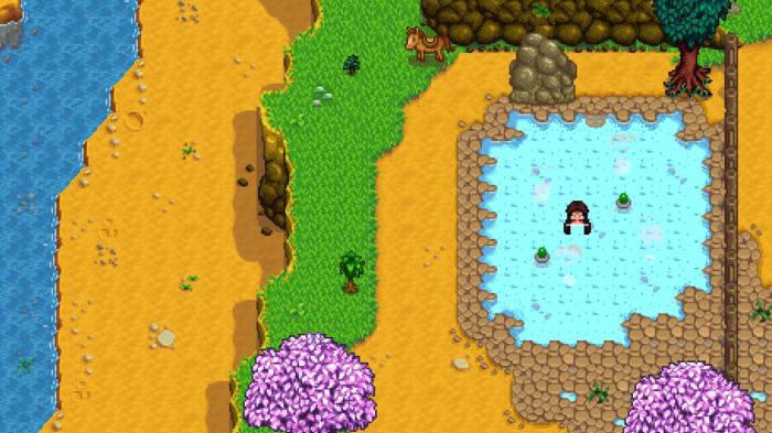 星露谷物语温泉有啥用3