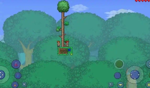 泰拉瑞亚痴愚金龙有什么技能_泰拉瑞亚恶龙