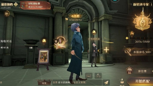 哈利波特魔法觉醒怎么赚钱1