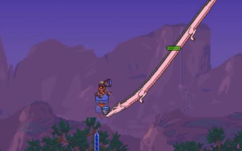 泰拉瑞亚小白龙多久刷一次_泰拉瑞亚小白龙多高刷