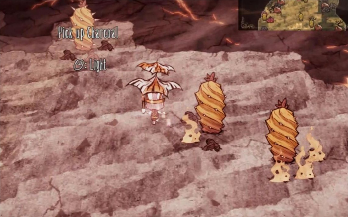 饥荒仙人掌怎么种植1