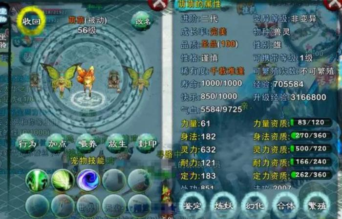 忘仙怎么养宠物3