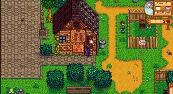 星露谷物语鹈鹕镇有哪些建筑_星露谷物语联机版