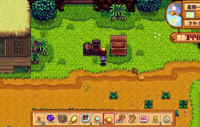 星露谷物语宝石鸟需要什么宝石2