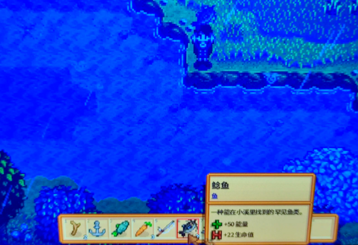 星露谷物语秋天干什么3