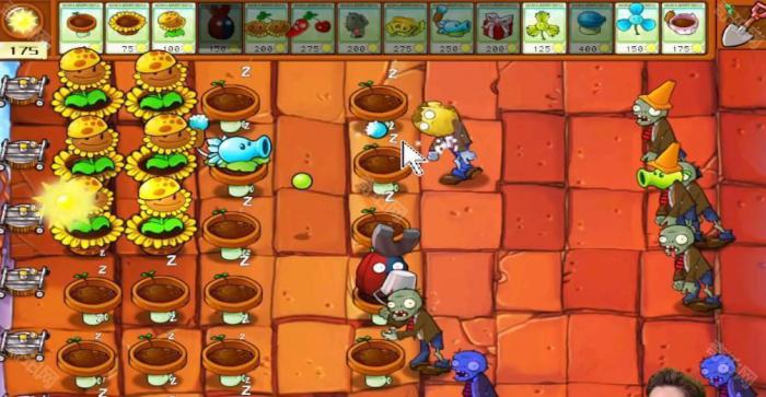 《植物大战僵尸杂交版》冒险模式第46关通关攻略3