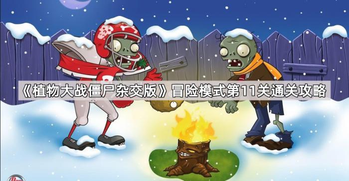 植物大战僵尸杂交版冒险模式第11关通关攻略_植物大战僵尸1冒险模式5-10