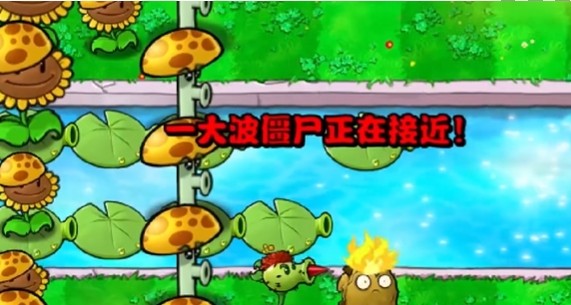 《植物大战僵尸杂交版》冒险模式第11关通关攻略4