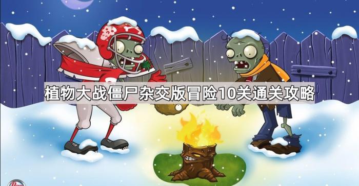 植物大战僵尸杂交版冒险10关通关攻略_植物大战僵尸冒险模式第10关