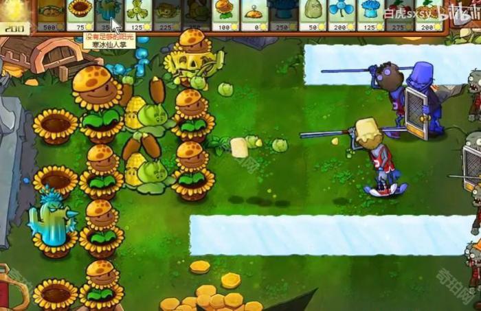 《植物大战僵尸杂交版》挑战模式第22关通关攻略3