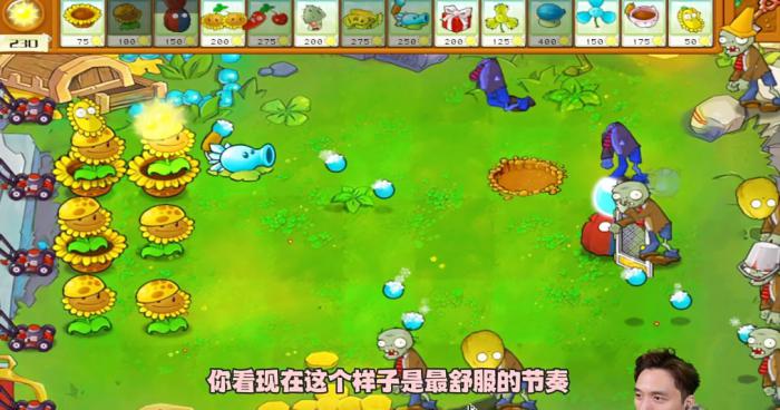 《植物大战僵尸杂交版》冒险模式第53关通关攻略2