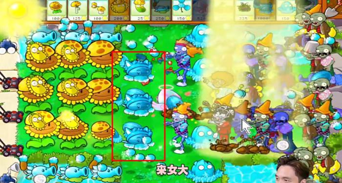 《植物大战僵尸杂交版》冒险模式第55关通关攻略4