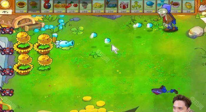 《植物大战僵尸杂交版》冒险模式第50关通关攻略2