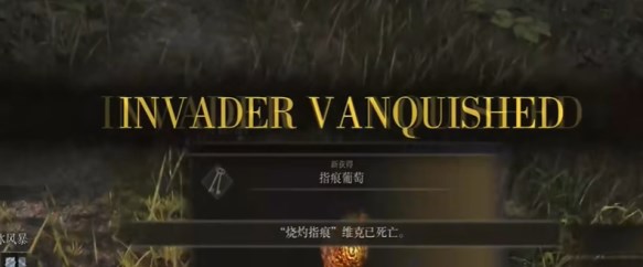 《艾尔登法环黄金树幽影》指痕葡萄获得方法8