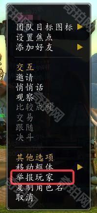 《魔兽世界》举报玩家方法介绍3