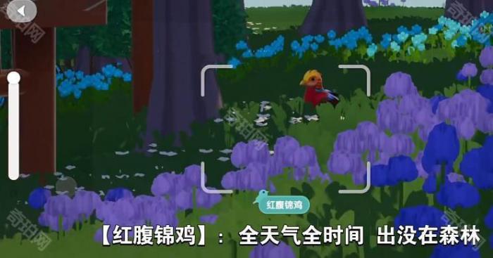 《心动小镇》新春报喜鸟拍照位置一览4