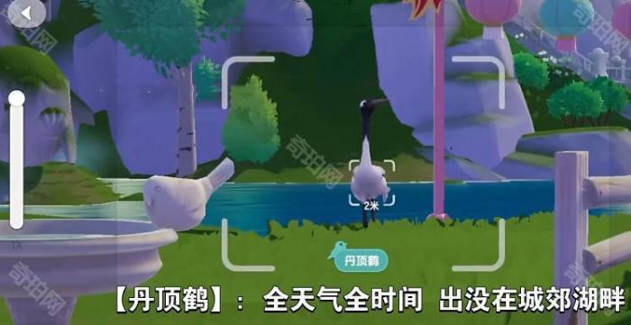 《心动小镇》新春报喜鸟拍照位置一览5