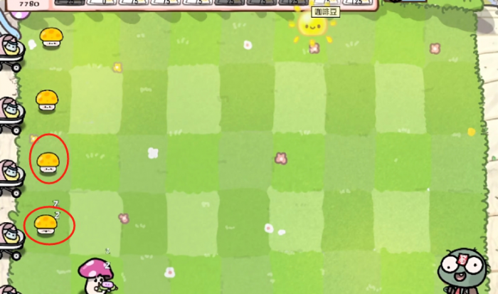 《植物大战僵尸幼儿园版》咖啡豆植物介绍3