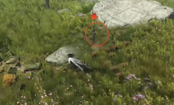 逆水寒手游爱糖小童奇遇怎么完成2