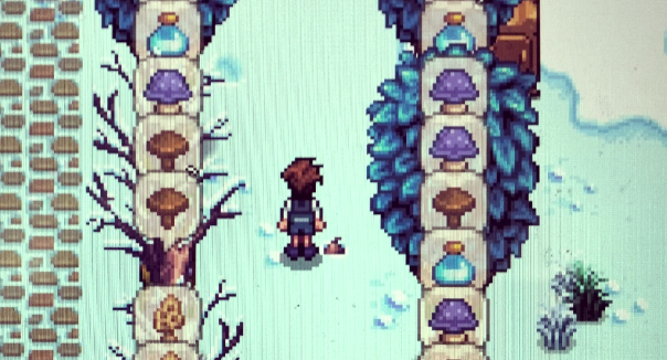 星露谷物语普通蘑菇怎么获得_星露谷物语普通蘑菇在哪