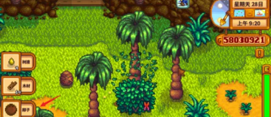 星露谷物语金椰子怎么砸开4