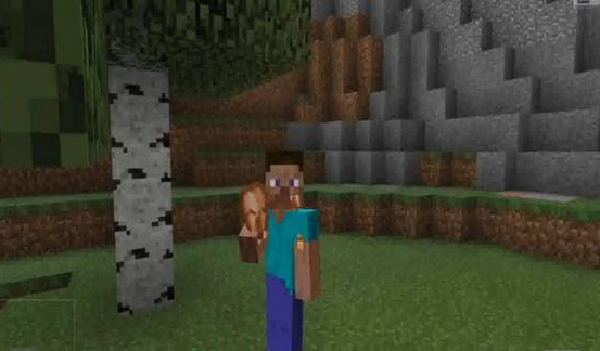 我的世界鸡吃什么_我的世界鸡吃什么可以繁殖