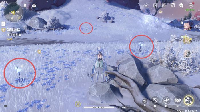 鸣潮龙吐珠采集路线是什么5