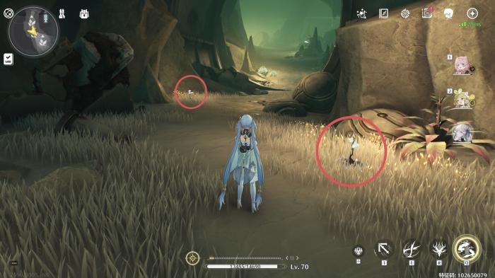 鸣潮龙吐珠采集路线是什么10