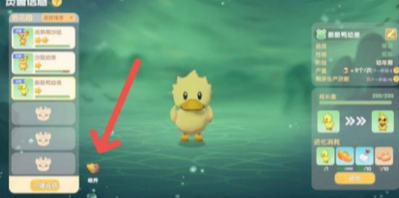 摩尔庄园灵兽怎么喂养1