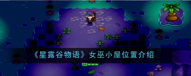星露谷物语女巫小屋位置在哪_星露谷物语官方正版