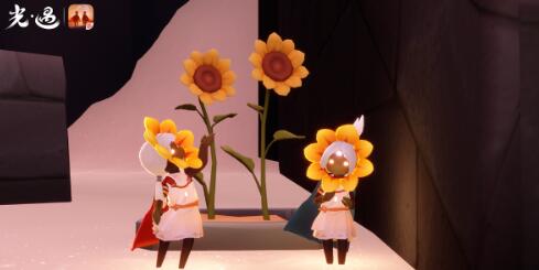 光遇运动会什么时候开启2