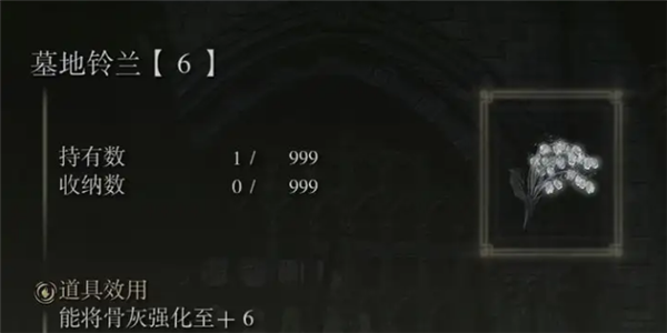 艾尔登法环骨灰怎么升级6