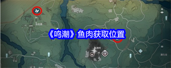 鸣潮鱼肉怎么获得1