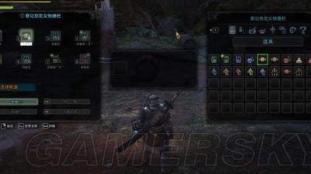 怪物猎人世界武器属性灰色怎么办_怪物猎人世界武器属性灰色怎么办