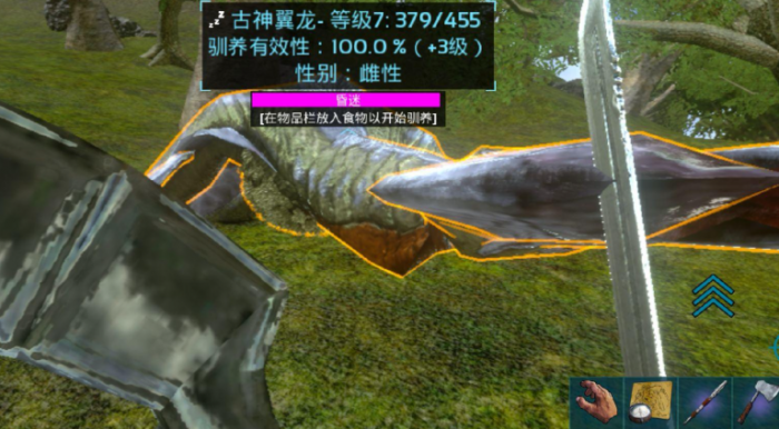 方舟生存进化古神翼龙加点攻略_方舟生存进化代码大全