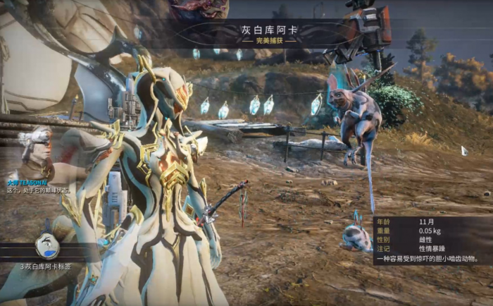 星际战甲指挥官怎么得2