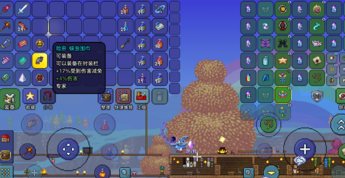 泰拉瑞亚有哪些饰品3