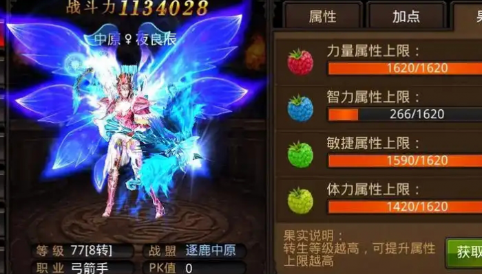 全民奇迹弓箭手翎羽带什么1