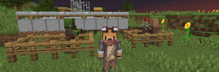 我的世界怎么把村民弄回家3