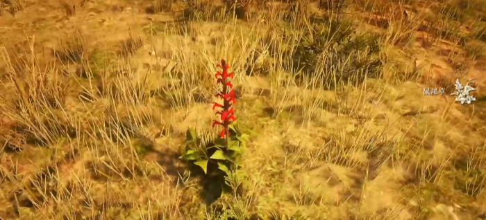 荒野大镖客2草药大师怎么解锁1