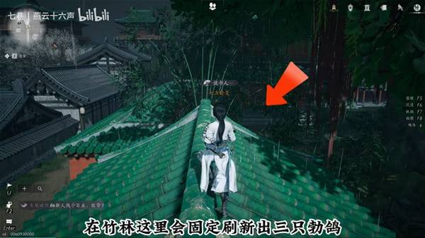 燕云十六声柳叶羽速刷法2